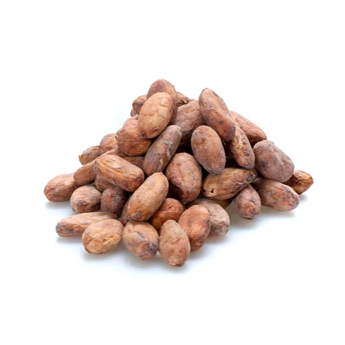 Cacao en Grano