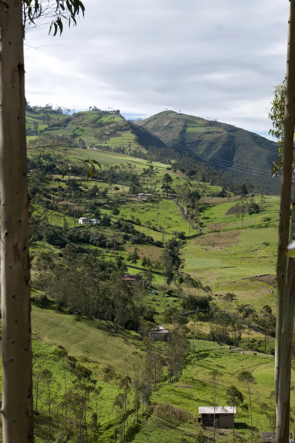 Terrazas orgánicas en los Andes